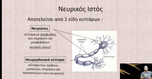 Νευρικός Ιστός